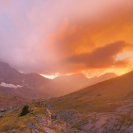 User profile picture